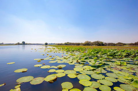 Jumping Crocs & Nature Adventure Cruise From Darwin - C Tourism 8