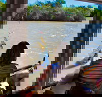 Jumping Crocs  Nature Adventure Cruise from Darwin - C Tourism
