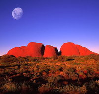 Kata Tjuta Afternoon Walpa Gorge Tour - C Tourism