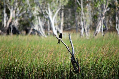 ETHICAL ADVENTURES - Dry Season Litchfield Region, Max 10 Guests - C Tourism 2