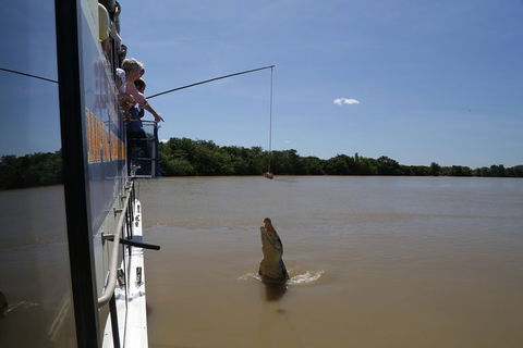 Darwin City Sights And Jumping Crocodile Cruise - C Tourism 2