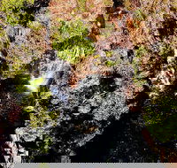 Ethical Adventures - Pure Litchfield - C Tourism