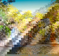 Litchfield National Park Waterfalls Day Trip From Darwin Including Termite Mounds and Lunch - C Tourism