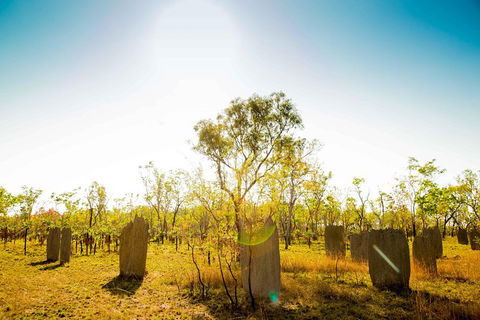Litchfield National Park Waterfalls Day Trip From Darwin Including Termite Mounds And Lunch - C Tourism 1