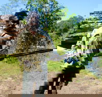 Kakadu  Arnhem Land tour Camping tour - C Tourism