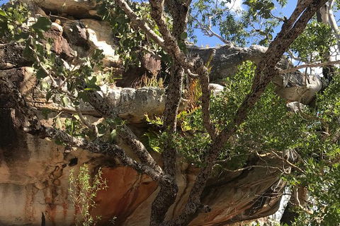 2-Hour 4WD Tour: Groote Eylandt Snapshot - C Tourism 3
