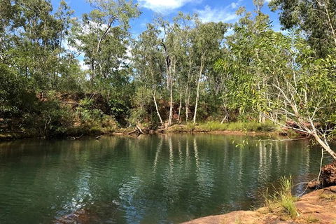 4-Hour Groote Eylandt Explorer 4WD Tour - C Tourism 0