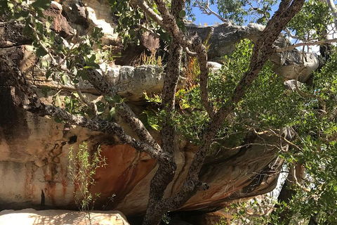 4-Hour Groote Eylandt Explorer 4WD Tour - C Tourism 1