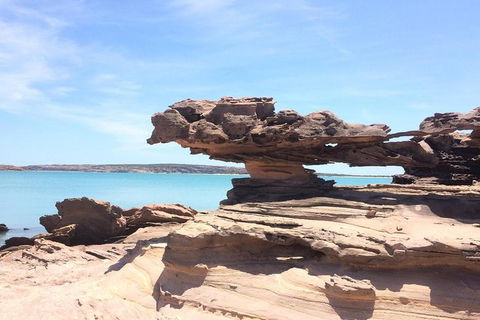 Groote Eylandt Tour: Hanging Rock Cave Paintings - C Tourism 0