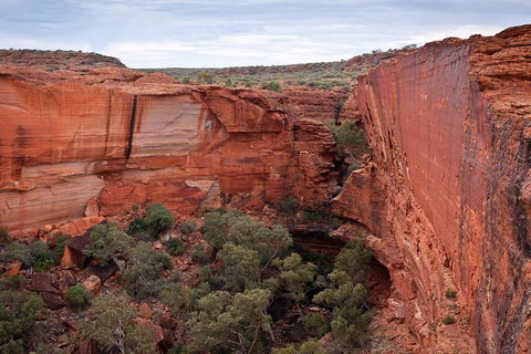 Uluru, Kata Tjuta And Kings Canyon Camping Safari From Alice Springs - C Tourism 4