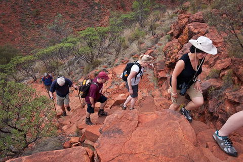 Uluru, Kata Tjuta And Kings Canyon Camping Safari From Alice Springs - C Tourism 3