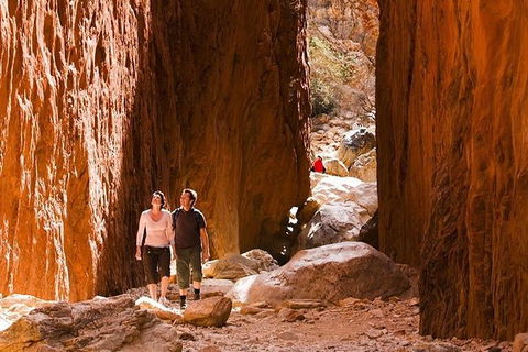 Alice Springs, Uluru Ayers Rock & Kings Canyon 8 Days Touring Package - C Tourism 5