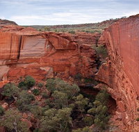 Uluru Kata Tjuta and Kings Canyon Camping Safari from Ayers Rock - C Tourism