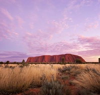 Sunset Australian Barbecue Dinner in Uluru - C Tourism
