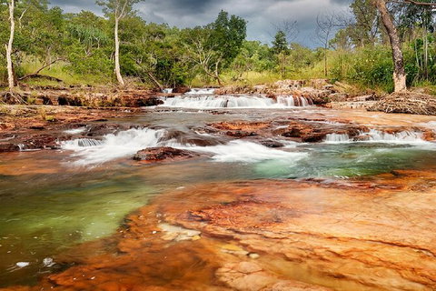 Full-Day Private Guided Tour To Litchfield National Park - C Tourism 14