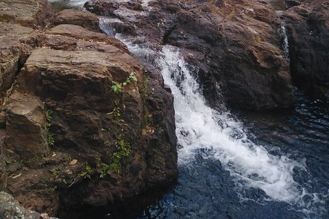Full-Day Private Guided Tour To Litchfield National Park - C Tourism 8
