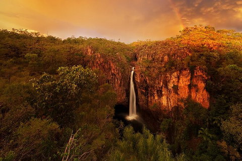Full-Day Private Guided Tour To Litchfield National Park - C Tourism 20
