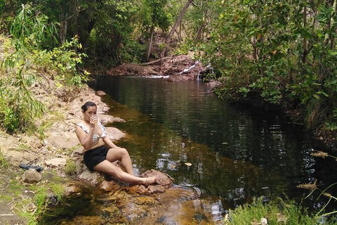 Full-Day Private Guided Tour To Litchfield National Park - C Tourism 11