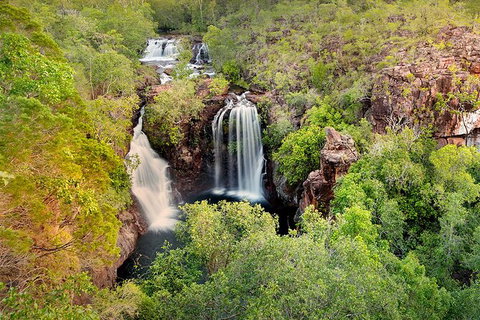 Full-Day Private Guided Tour To Litchfield National Park - C Tourism 0