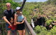 Full-Day Private Guided Tour To Litchfield National Park - thumb 21