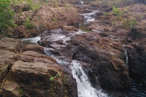 Full-Day Private Guided Tour To Litchfield National Park - C Tourism 15