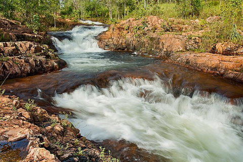 Full-Day Private Guided Tour To Litchfield National Park - C Tourism 3
