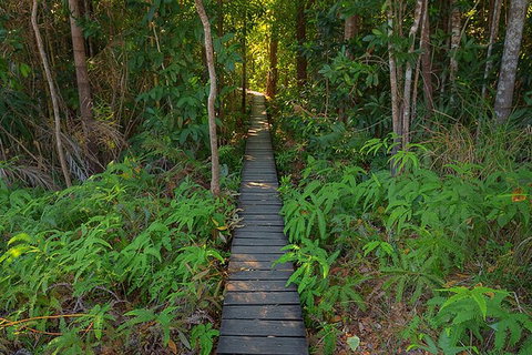 Full-Day Private Guided Tour To Litchfield National Park - C Tourism 7