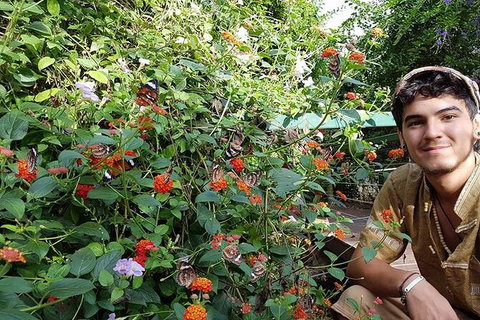 Full-Day Private Guided Tour To Litchfield National Park - C Tourism 17