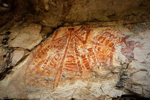 Arnhem Land Injalak Hill Full-Day Tour From Darwin - C Tourism 1