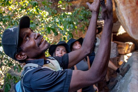 Arnhem Land Injalak Hill Full-Day Tour From Darwin - C Tourism 0