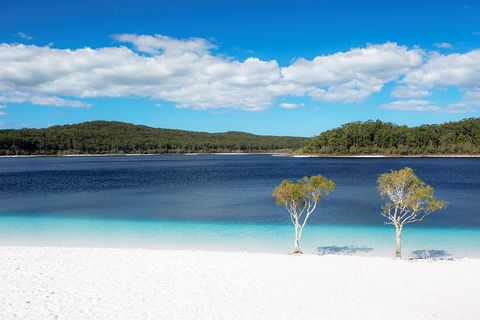 All-Inclusive Fraser Island Day Tour - C Tourism 2