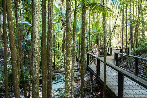 All-Inclusive Fraser Island Day Tour - C Tourism 7