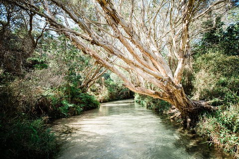 All-Inclusive Fraser Island Day Tour - C Tourism 5