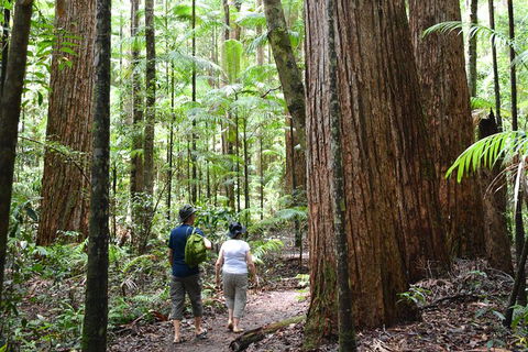 All-Inclusive Fraser Island Day Tour - C Tourism 6