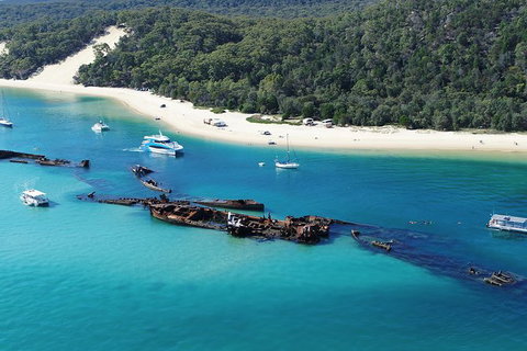 All Inclusive Dolphin And Tangalooma Wrecks Cruise - C Tourism 2