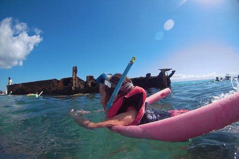 All Inclusive Dolphin And Tangalooma Wrecks Cruise - C Tourism 8