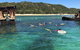 All Inclusive Dolphin And Tangalooma Wrecks Cruise - thumb 9