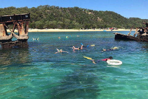 All Inclusive Dolphin And Tangalooma Wrecks Cruise - C Tourism 9