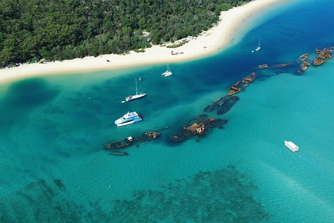 All Inclusive Dolphin And Tangalooma Wrecks Cruise - C Tourism 3