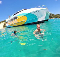 All Inclusive Dolphin and Tangalooma Wrecks Cruise - C Tourism
