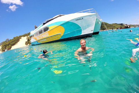 All Inclusive Dolphin And Tangalooma Wrecks Cruise - C Tourism 0
