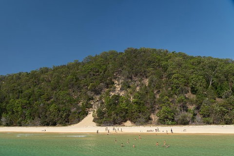 All Inclusive Dolphin And Tangalooma Wrecks Cruise - C Tourism 4