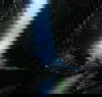 Mt Tamborine National Park 4WD Nocturnal Rainforest and Glow Worm Tour - C Tourism