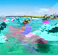 Half Day Dolphin Kayaking and Snorkeling Tour - C Tourism