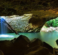 Springbrook and Mt Tamborine Adventure Tour - Bring the Kids - C Tourism