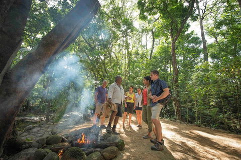 Aboriginal Cultural Daintree Rainforest Tour From Cairns Or Port Douglas - C Tourism 3