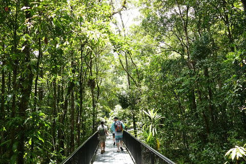 Aboriginal Cultural Daintree Rainforest Tour From Cairns Or Port Douglas - C Tourism 4
