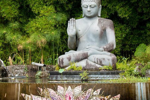 Full-Day Byron Bay And Crystal Castle Day Tour From Brisbane - C Tourism 4