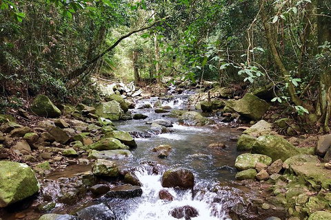 Private Tour - C Tourism 13