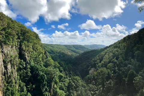 Private Tour - C Tourism 1